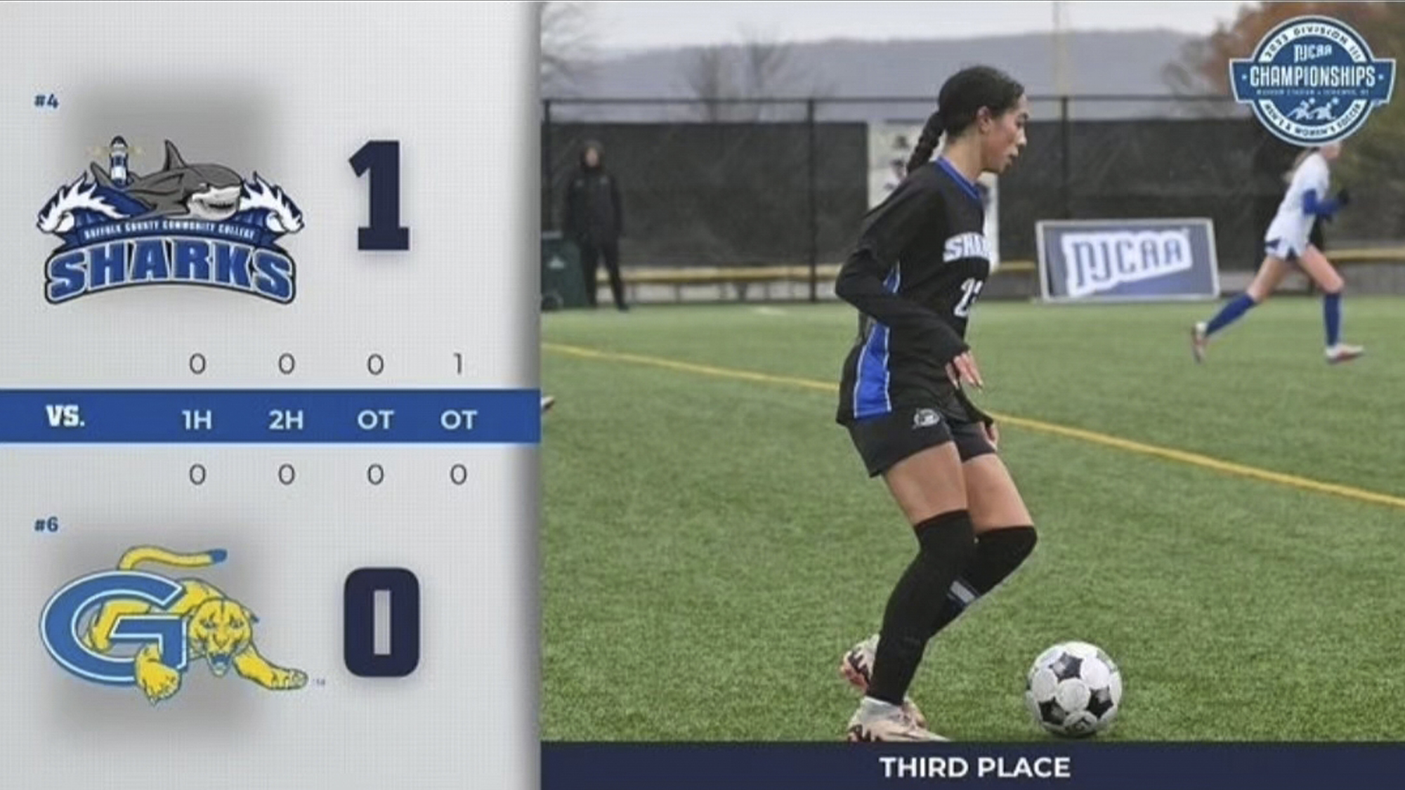 Graphic Courtesy of NJCAA and Suffolk County Athletics